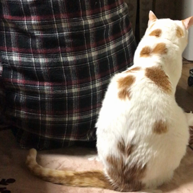 温度差にご注意！の画像