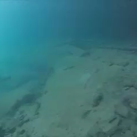 宇佐美っていう漁港に行きましたの画像