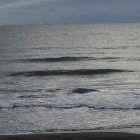 12月20日千葉北、東浪見の朝の波の画像