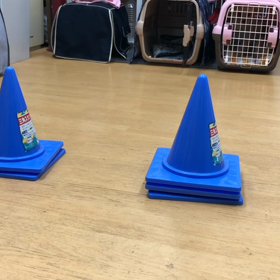 やっぱ上手いね。の画像