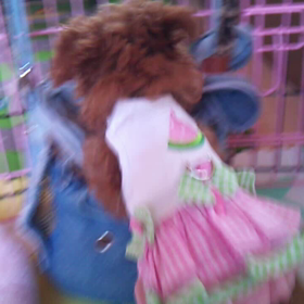 coco連れてっての画像