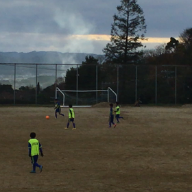 2日目 午後 紅白戦の画像