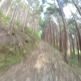 林道で遊ぶ！の画像