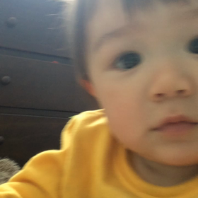 どーもどーもどーも、、の画像