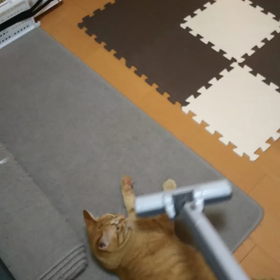 どけっ！の画像