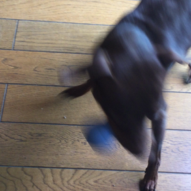 闘い(＞人＜;)の画像