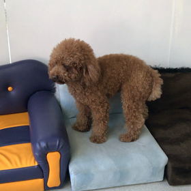 ♪年末年始のプレイルーム動画♪⑧の画像