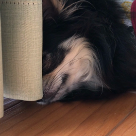 べるのお昼寝の画像