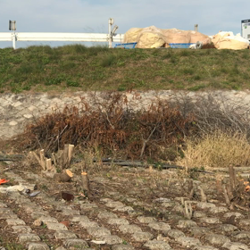 我慢したの画像