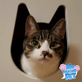 おしゃべりペットの画像