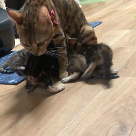 元気すぎての画像