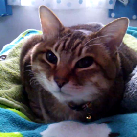 反省の言葉かな？の画像