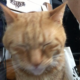 グルーミングは大事な朝の身だしなみの画像