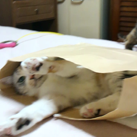 やられてます！の画像