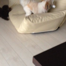 仕事になりましたの画像