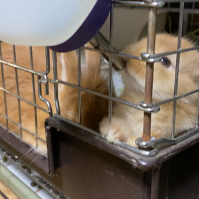 お水ものめるもん！の画像