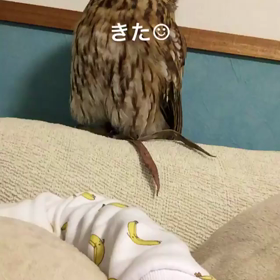 パジャマはForever21の画像