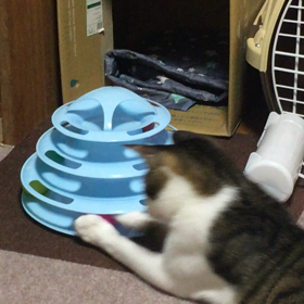 ひとり遊びの画像