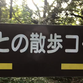 ♪お散歩動画♪砧公園♪の画像