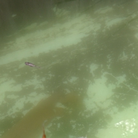 こんばんはの画像