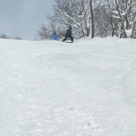 ニセコですの画像