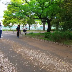 リレー選考会(男子)スタート付近⑫の画像