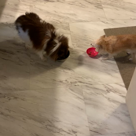 ご無沙汰ですの画像