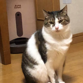 日曜日のジム活と3行も話すなんてびっくり！紅虎餃子房。の画像