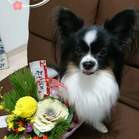 Happy New Year  2019の画像