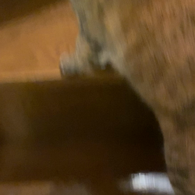 西武新宿線の画像