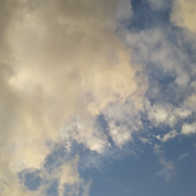 Twitterﾌﾞﾛｸﾞ。の画像