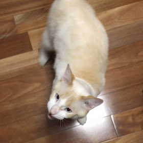 そり助くんの「あ”〜」の画像