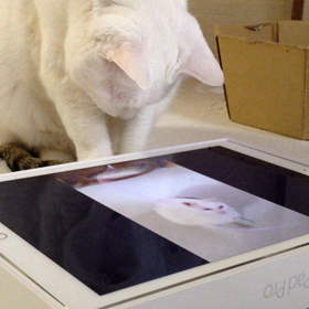 iPadを使いこなすらたさんの画像