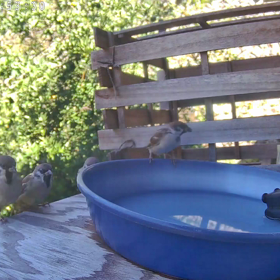 すぎぴたんの事件簿シーズン3　401話（お風呂の水を全部抜く！　犯人は犯行現場に戻ってくる）の画像