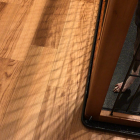 今日のシナモン  ハウル  しっぽぶんぶんの画像