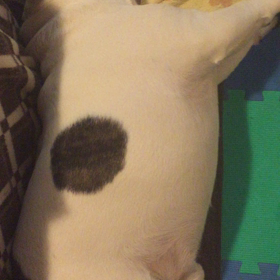 二度寝‼️の画像