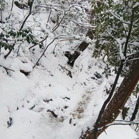 あひる山？  雪の金華山(動画編④)の画像