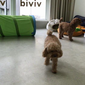 ♪プレイルーム動画♪②の画像