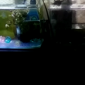 今日は和菓子の日　今日のあれこれの画像