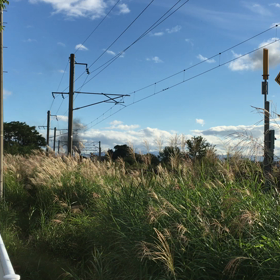 懐かしいの画像