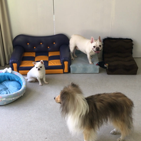 ♪年末年始のプレイルーム動画♪③の画像