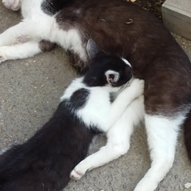 仲良し～♪の画像