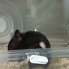 何もしてない日の画像