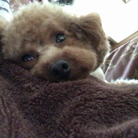 春だから⁉️の画像