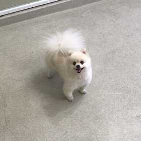 ♪プレイルーム動画♪の画像