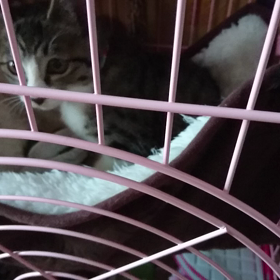 元気❗いっぱいの心春の画像