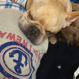 滑り止めの画像