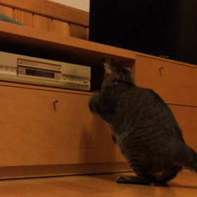 笑ってやってください。の画像