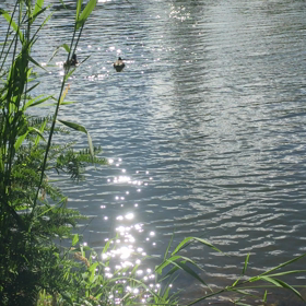 今ここ通信の画像