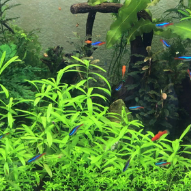 エニシエビアクアチャンネルの画像